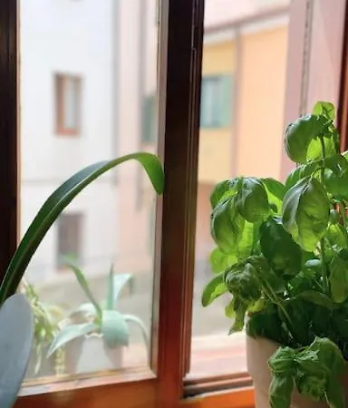 Charmantes Altstadthaus Mit Dachterrasse * Múggia