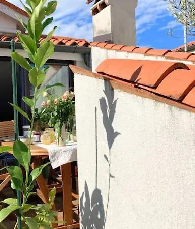 Semesterbostad Charmantes Altstadthaus Mit Dachterrasse *