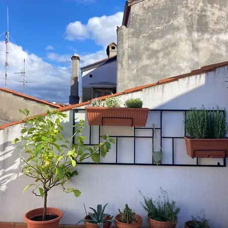 Semesterbostad Charmantes Altstadthaus Mit Dachterrasse
