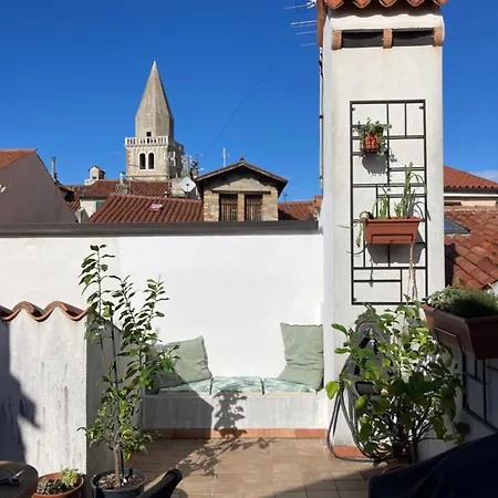 Charmantes Altstadthaus Mit Dachterrasse Ferienhaus
